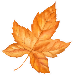 Fall Leaves Autumn Season Watercolor Illustration Sticker