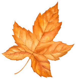 Fall Leaves Autumn Season Watercolor Illustration Sticker