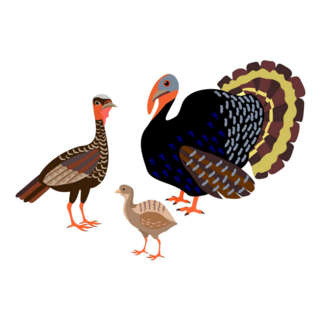 Family Of Turkeys Sticker