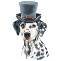 Fancy Dalmatian Hat Sticker