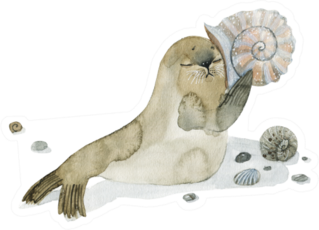 Fanny Illustration Cute Fur Seal With Shell Sticker