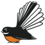 Fantail Bird, New Zealand Illustration Sticker