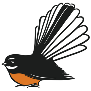 Fantail Bird, New Zealand Illustration Sticker