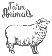 Farm Animals White Sheep Sticker