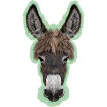 Farm Donkey Portrait On Green Sticker