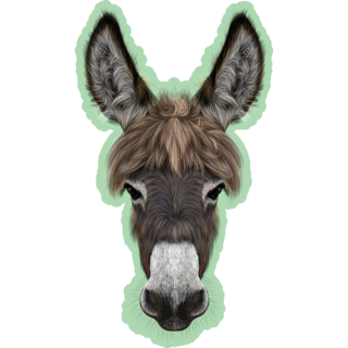 Farm Donkey Portrait On Green Sticker