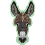 Farm Donkey Portrait On Green Sticker