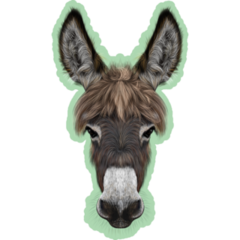 Farm Donkey Portrait On Green Sticker