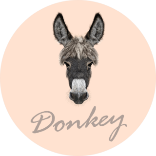 Farm Donkey Portrait With Lettering On Pink Sticker