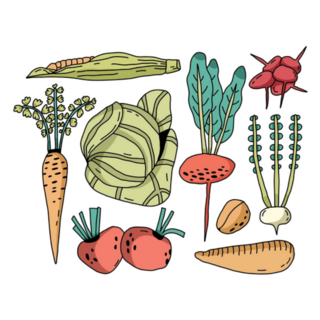 Farmers Market Vegetables Hand Drawn Sticker