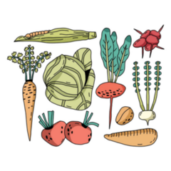 Farmers Market Vegetables Hand Drawn Sticker