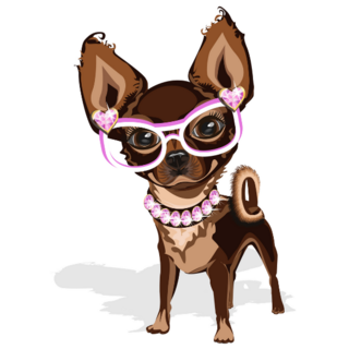 Fashion Chihuahua Sticker