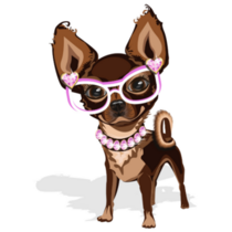Fashion Chihuahua Sticker