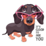 Fashion Dachshund Sticker