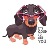 Fashion Dachshund Sticker