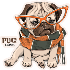 Fashion Pug Sticker