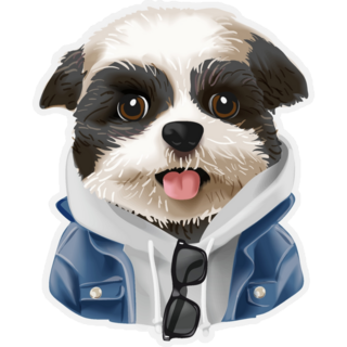 Fashionable Shih Tzu Sticker