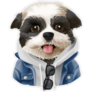 Fashionable Shih Tzu Sticker