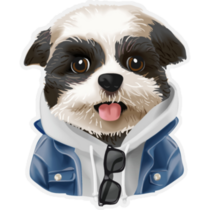 Fashionable Shih Tzu Sticker