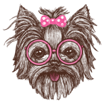 Fashionable Yorkshire Sticker