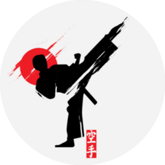 Fast Kick Fighting Technique Silhouette Sticker