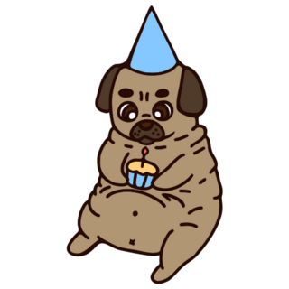 Fat Birthday Pug Sticker