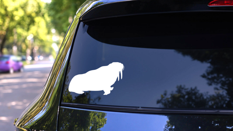Fat Walrus Sticker on a Rear Car Window (New) example