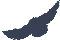 Feathery Owl Sticker