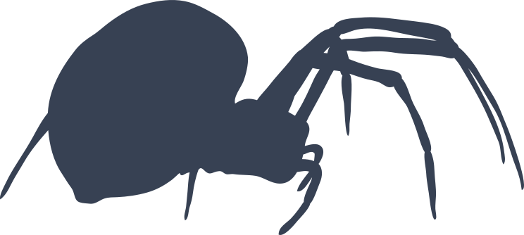 Female Black Widow Spider Sticker