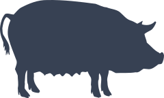 Female Pig Sticker