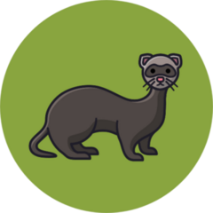 Ferret Cartoon On Green Sticker
