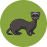 Ferret Cartoon On Green Sticker