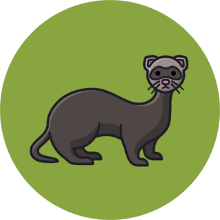 Ferret Cartoon On Green Sticker