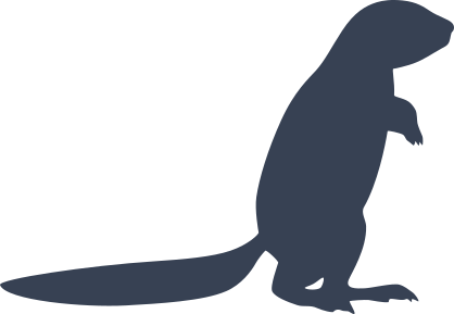 Ferret Looking To The Right Sticker