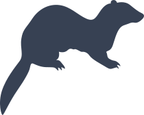 Ferret On Four Feet Sticker