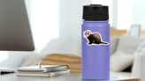 Ferret Sitting And Looking Away Sticker on a Water Bottle (New) example