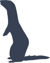 Ferret Sniffing Sticker