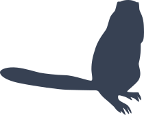 Ferret Standing On Two Legs Sticker