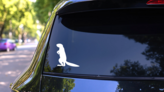 Ferret Standing Sticker on a Rear Car Window (New) example