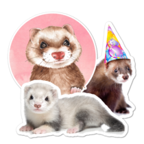 Ferret Thumbnail