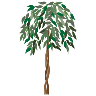 Ficus Tree Sticker