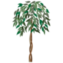 Ficus Tree Sticker