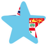 Fiji Flag Star Sticker