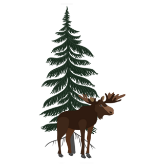 Fir Tree And Moose Sticker