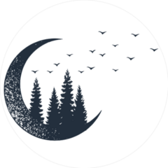 Fir Trees With The Moon Sticker