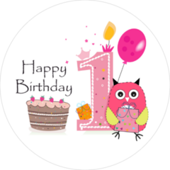 First Birthday Pink Owl Sticker