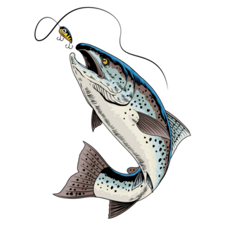 Fishing Trout Sticker