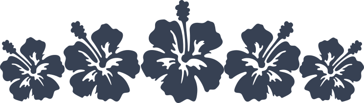 Five Hibiscus Flowers Border Sticker