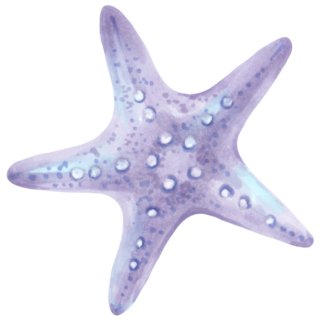 Five Pointed Starfish Sticker