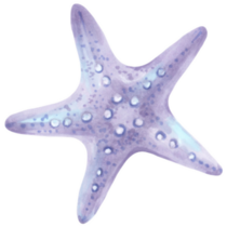 Five Pointed Starfish Sticker